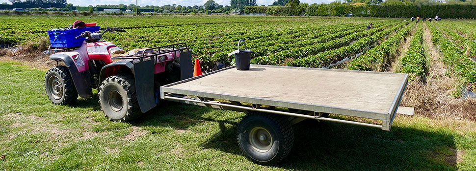 ATV On Farm